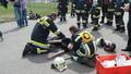 20150411_apte_brunn_pitten_005
