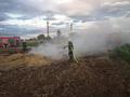 Foto: Presseteam FF Wr. Neustadt 20150709_strohbrand_ff_wrn_003