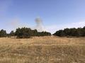 20150716_waldbrand_2
