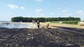 20150722_feldbrand_wrn_005