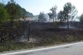 20150722_waldbrand-gm_1