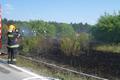 20150722_waldbrand-gm_4