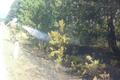 20150722_waldbrand-gm_6