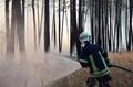 20150807_waldbrand_haschendorf_006