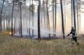 20150807_waldbrand_haschendorf_008