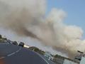 wald-flurbrand_sektor_f_24