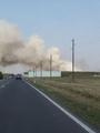wald-flurbrand_sektor_f_25