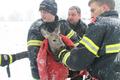 20160123_tierrettung_ffwrn_004