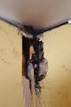20160315_schwelbrand_howodo_004