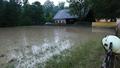 Foto: Einsatzdoku.at Lechner/Maierhofer 20160630_unwetter_gutenstein_004