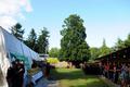 Foto: Norbert Stangl 20160813_wdlb_eggendorfstangl_norbert_510
