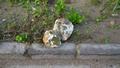 20160910_te_wopfing_001