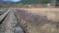 Foto: Michael Zehetner 20170325_te_oberpiesting_010
