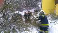 Fotos: ASB Lukas Brodtrager und EHBI Manfred Wieser / FF Pernitz 2017_04_19-20_schnee_8