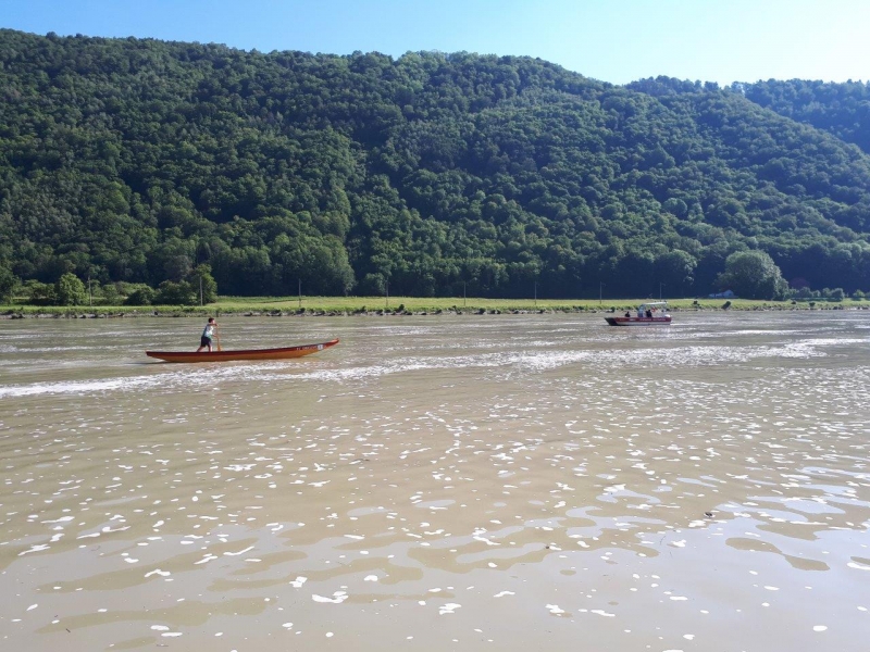 20190602 zillensport engelhartszell 002