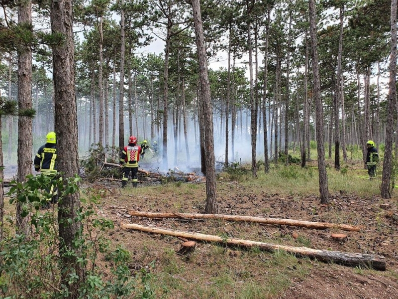 20200616 waldbrand grossmittel 001