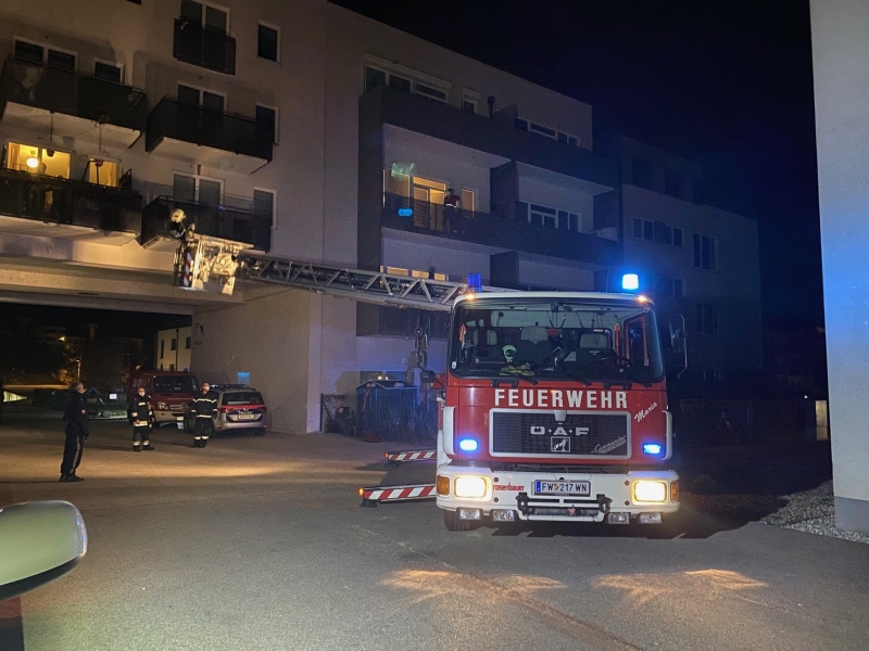20201123 menschenrettung ff wrn 001