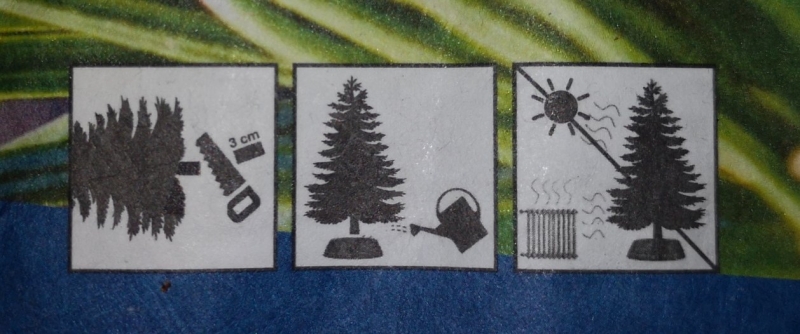 Weihnachtsbaum vorbereiten