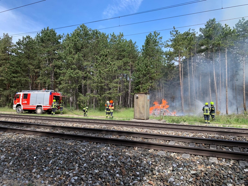 20210521 waldbrand Foehrenwald 010