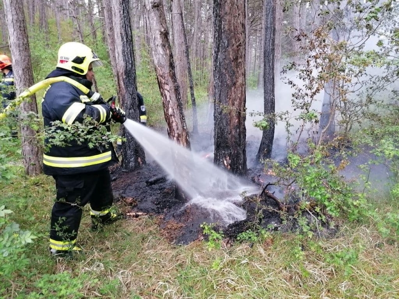 20210527 waldbrand ff markt piesting 007