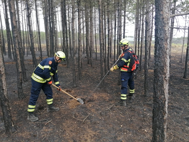 20210704 sd waldbrand foehrenwald 001