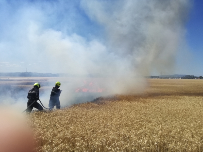 20210706 be siegersdorf ff haschendorf 028
