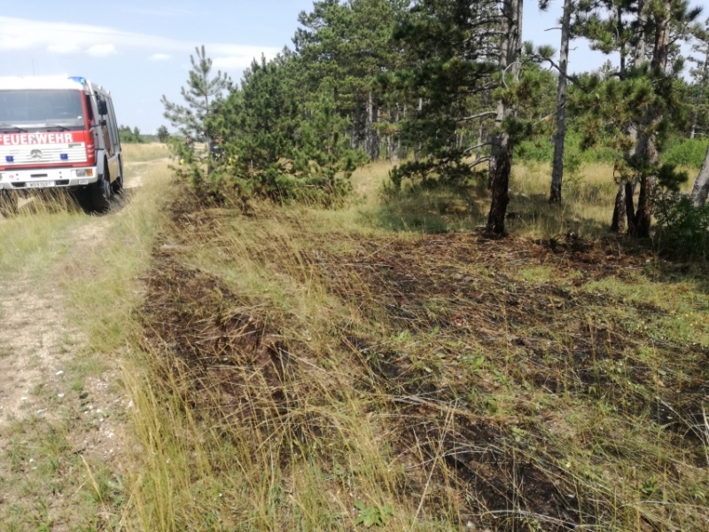 20210725 flurbrand haschendorf 004