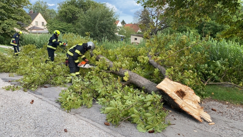 20210728 sturmeinsatz ebenfurth 002