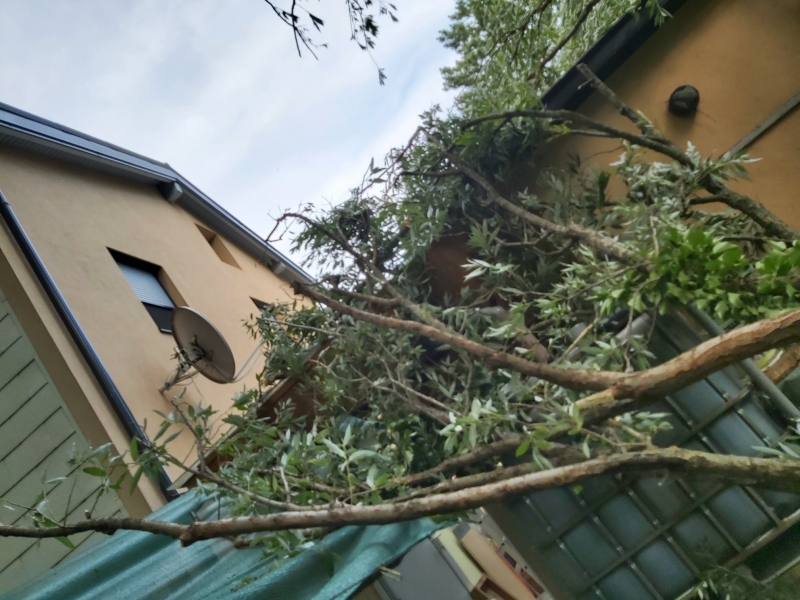 20210728 sturmeinsatz sollenau 002