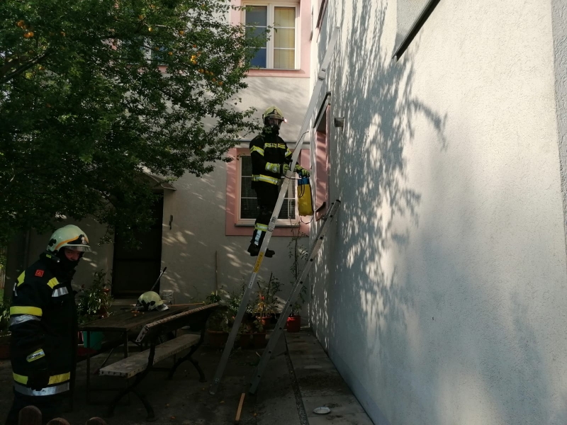 20210807 te ff pernitz 005