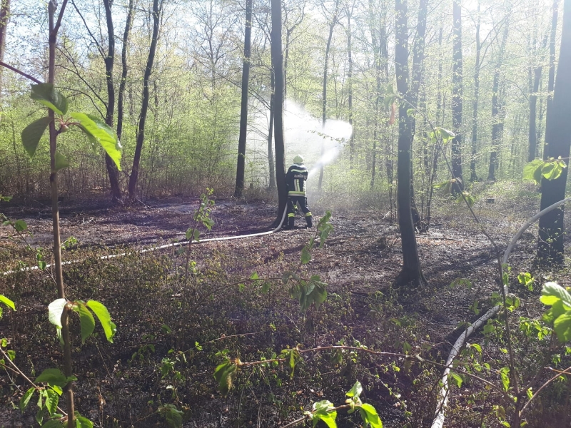 20220414 waldbrand zillingdorfer wald
