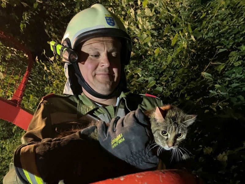 20220607 Katzenrettung Peisching 00