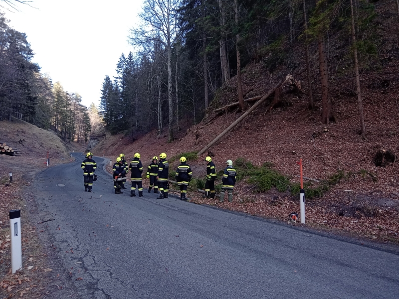 20230311 sturmeinsatz ff pernitz 001