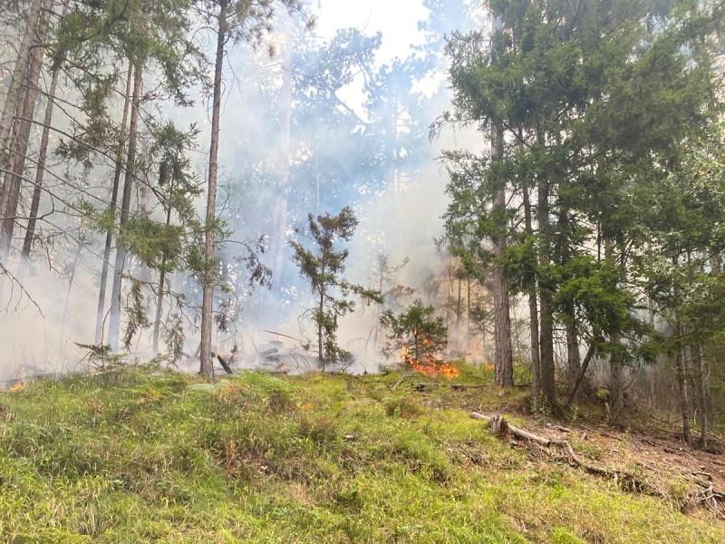 20240830 waldbrand waidmannsfeld neumann