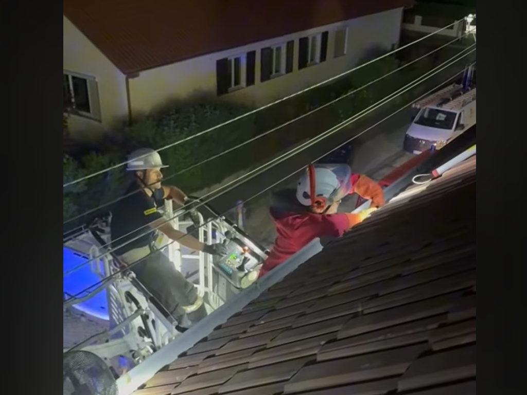 Rettung Babykater aus Dachrinne