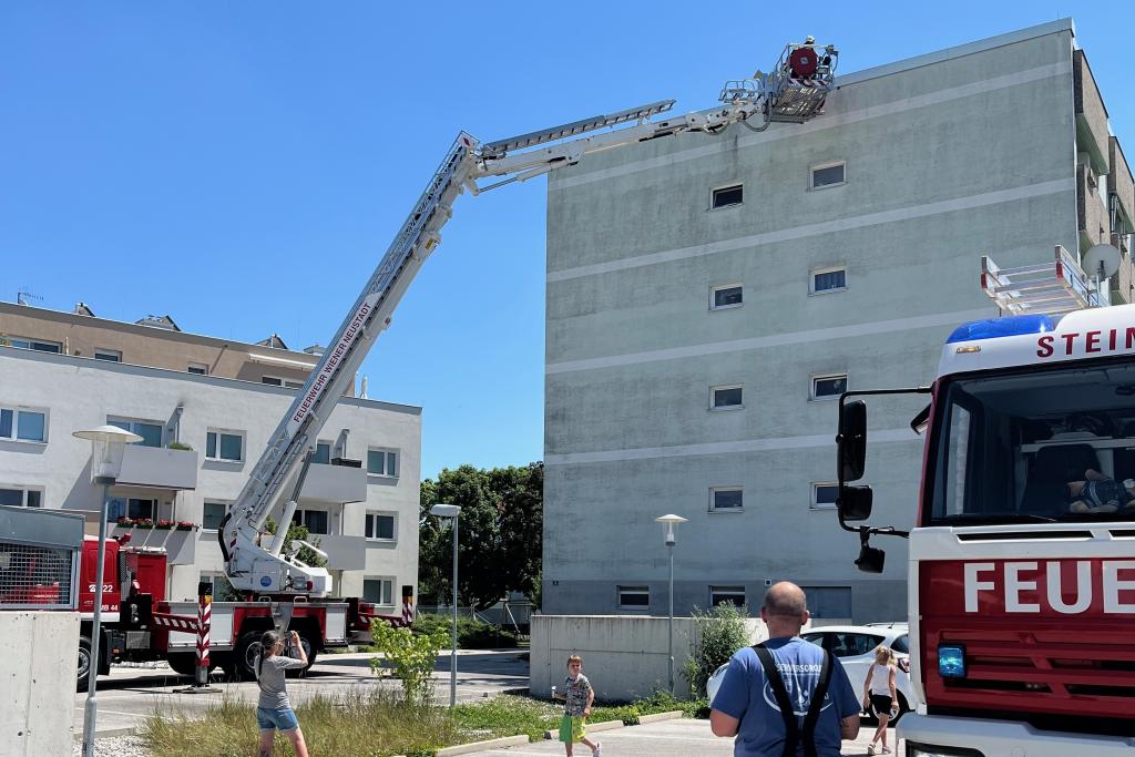 FF Steinabrückl: Rettung eines Mauerseglers in der Wassergasse
