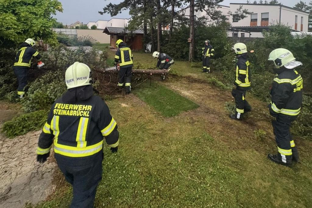 FF Steinabrückl: Entfernen eines Baumes nach einer Gewitterfront