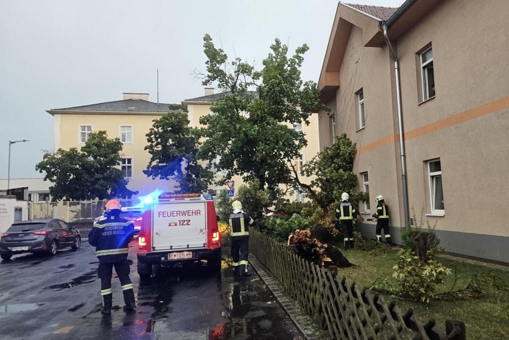 FF Wr. Neustadt: Einsatzreicher Tag: 18 Einsätze - vom Flurbrand bis zum Starkwindereignis