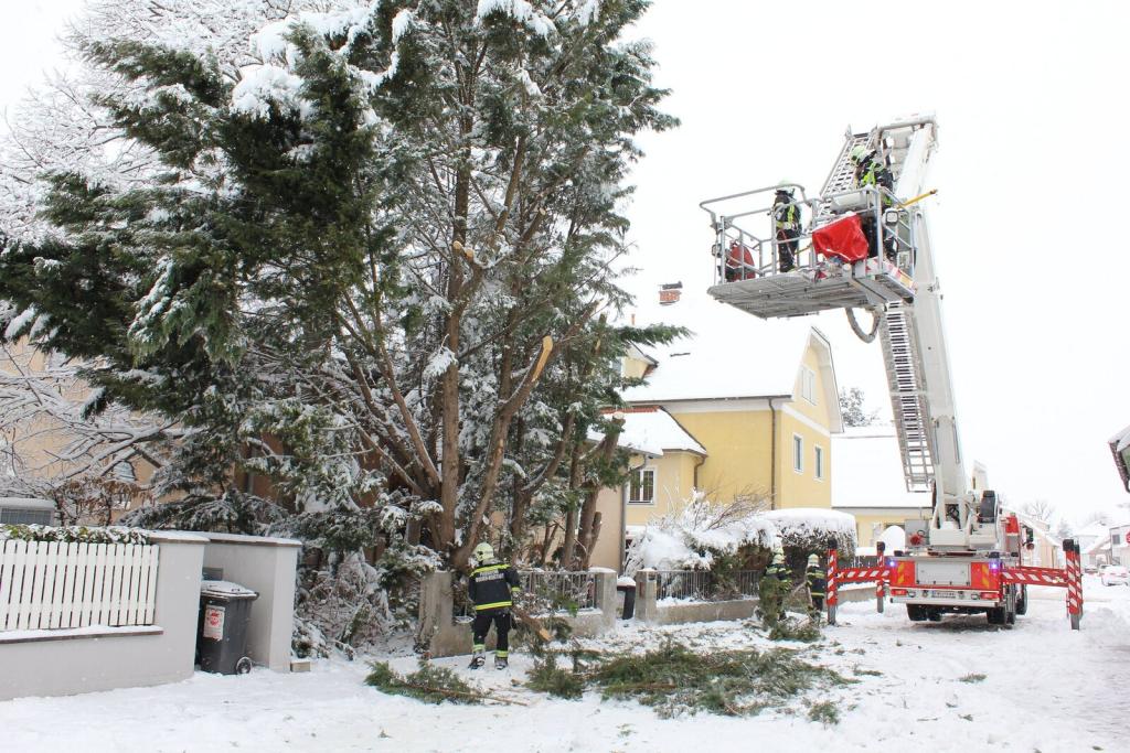 FF Wr. Neustadt: Schneeeinsätze in Wr. Neustadt