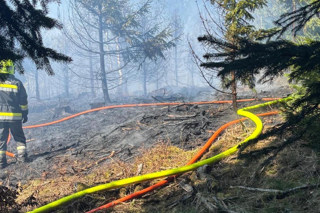 Waldbrand in Krumbach (NÖ)
