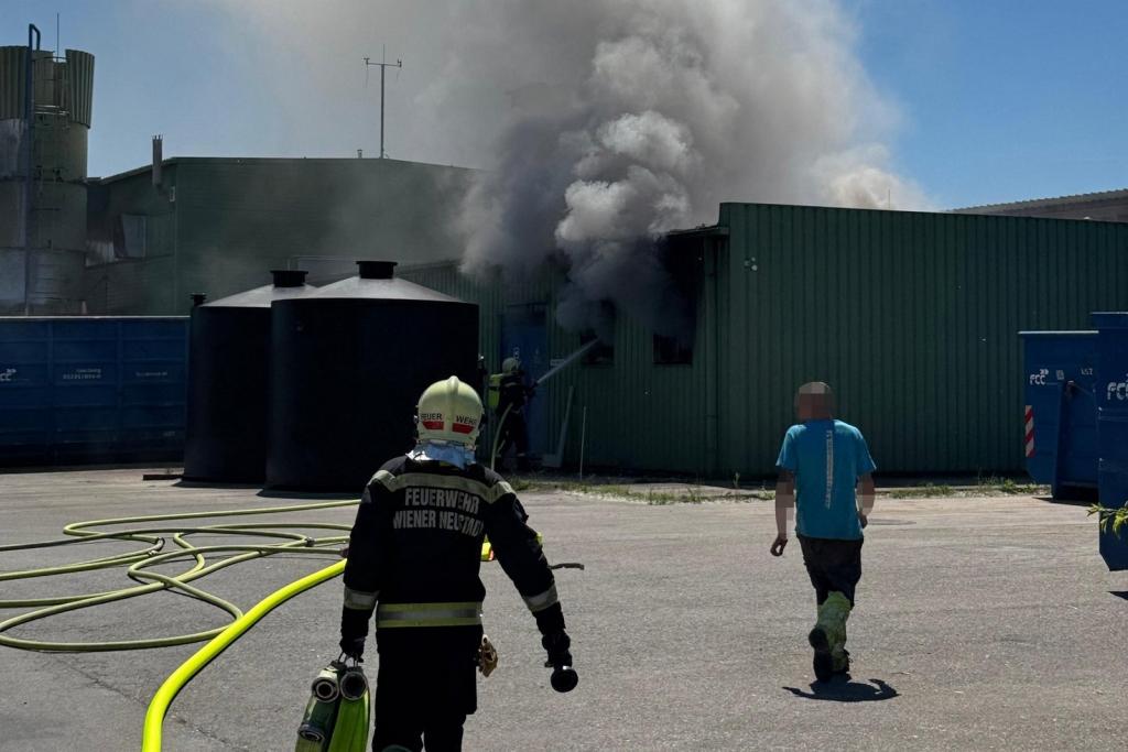 FF Wr. Neustadt: Brandmelderalarm auf Firmengelände: Werkstatt in Vollbrand