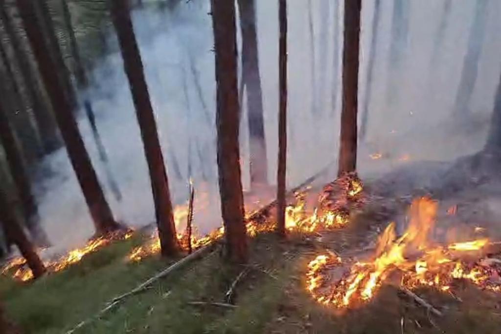 Waldbrand in Gutenstein