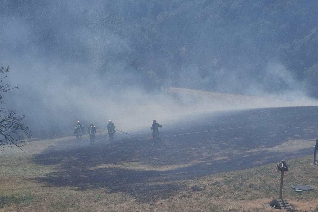 Brand einer Wiese nach Mährarbeiten in Hollenthon